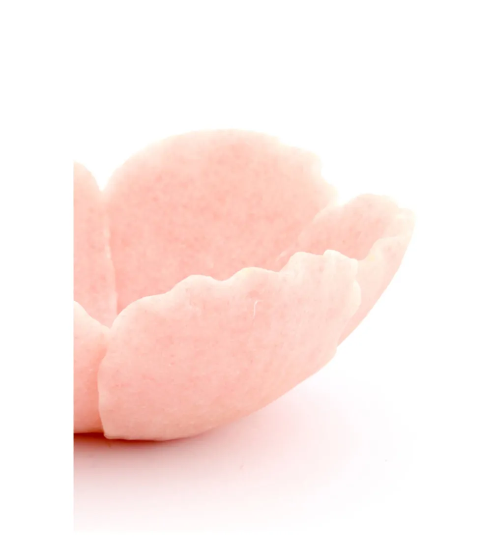 Misa FRESIA 25 cm różowa