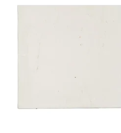 Obraz KWIATY 80 x 100 cm czarnobiały