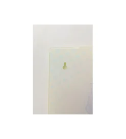 Obraz LED BEAUTY 39 x 39 cm szklany