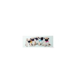 Obraz Girls&Boys 30 cm x 80 cm Assorted