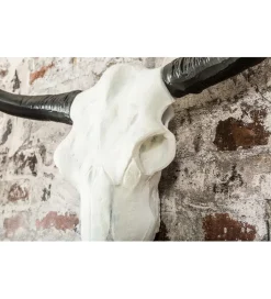 Ozdobna czaszka El Toro 70 cm biały czarny