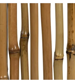 Regał BAMBÚ 78 cm bambus