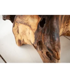 Stolik kawowy Korzeń 40 cm drewno Teak