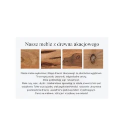 Stolik pod TV ARKTYKA Mammut 160 cm drewno akacja honey