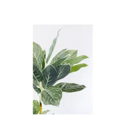Sztuczna roślina CALATHEA 140 cm