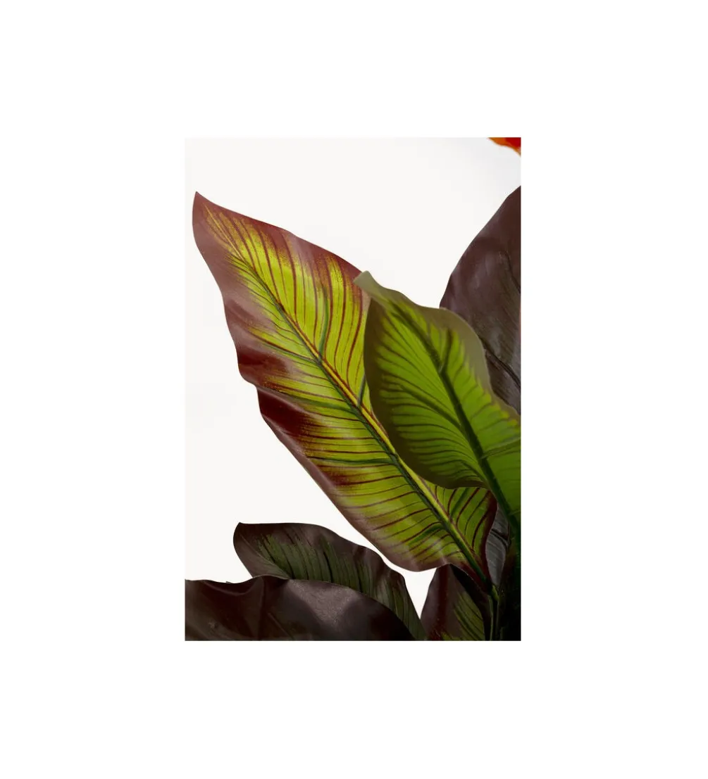 Sztuczna roślina CANNA LILY 115 cm