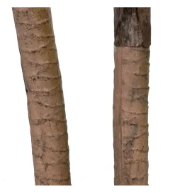 Sztuczna roślina DRACAENA 110 cm