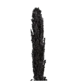 Sztuczna roślina KOSNO 190 cm naturalna czarna