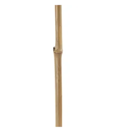 Sztuczna roślina KOSNO 190 cm naturalna