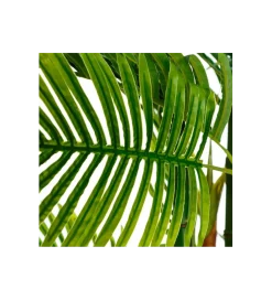 Sztuczna roślina PALMERA 170 cm