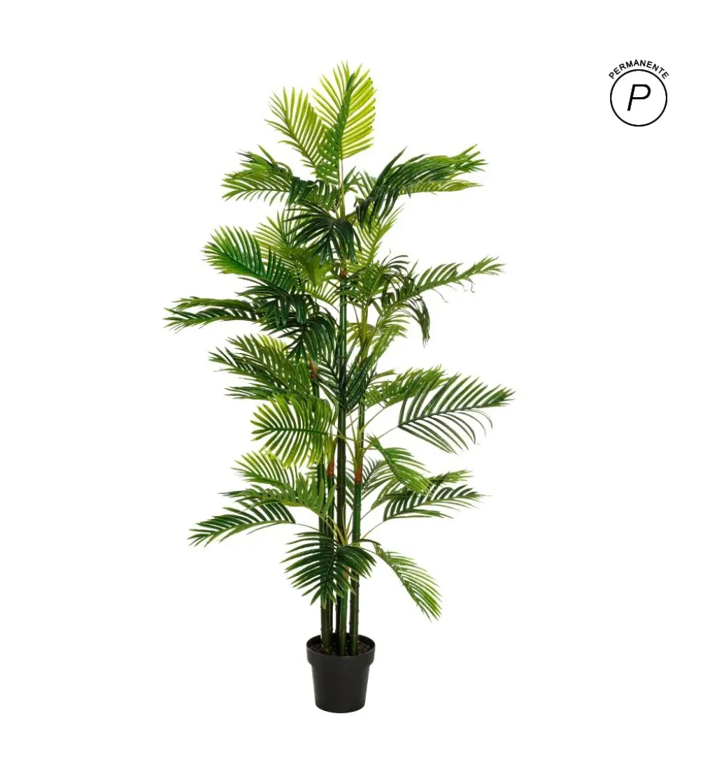 Sztuczna roślina PALMERA 170 cm