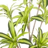 Sztuczna roślina DRACENA 210 cm