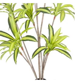 Sztuczna roślina DRACENA 210 cm