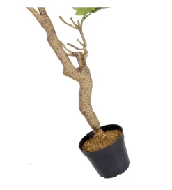 Sztuczna roślina FIKUS 200 cm