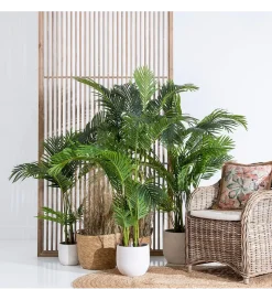 Sztuczna roślina PALMERA 170 cm