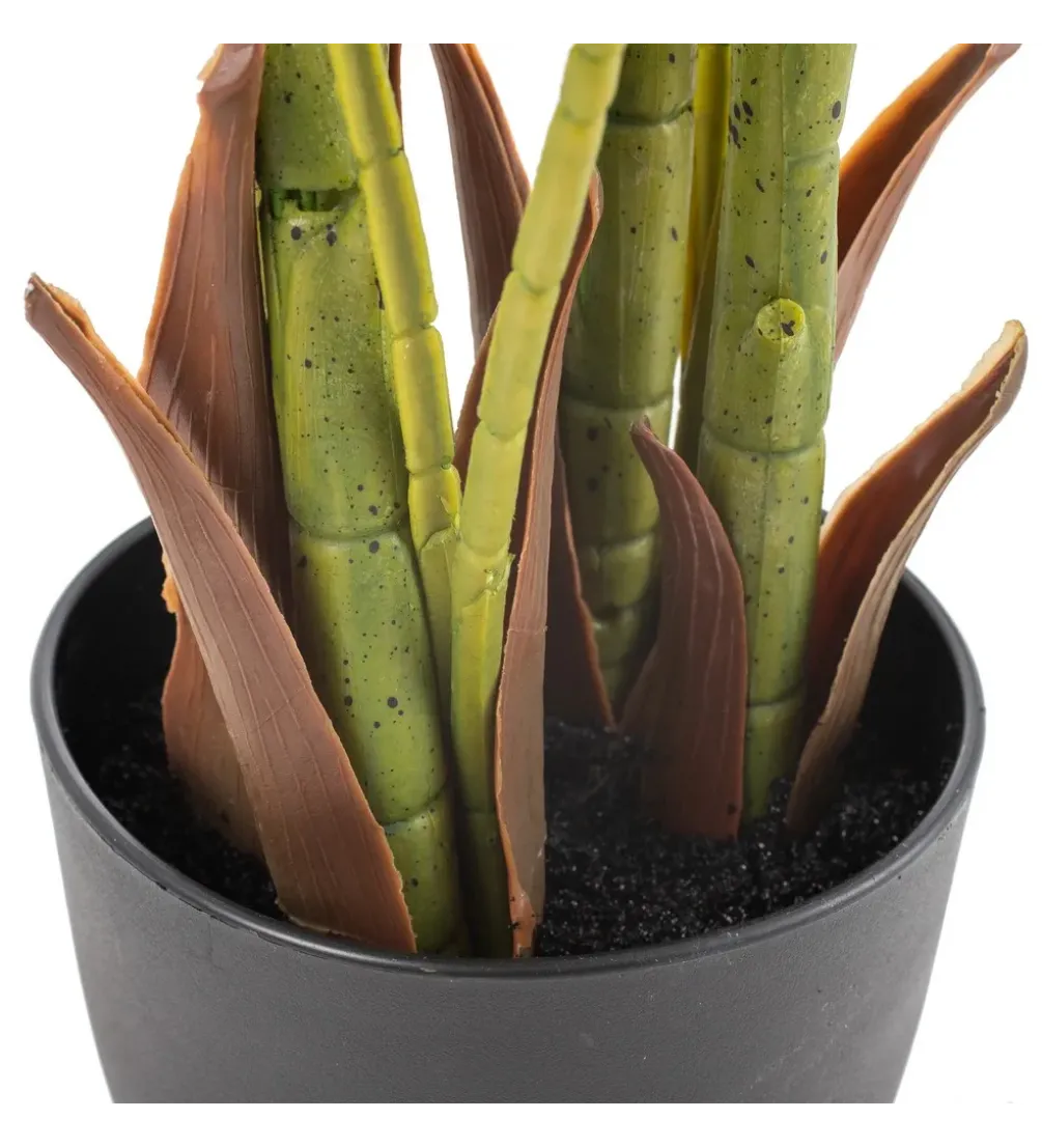 Sztuczna roślina PALMERA 170 cm