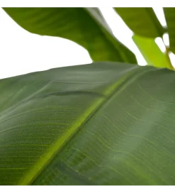 Sztuczny kwiat BANANA 190 CM zielony